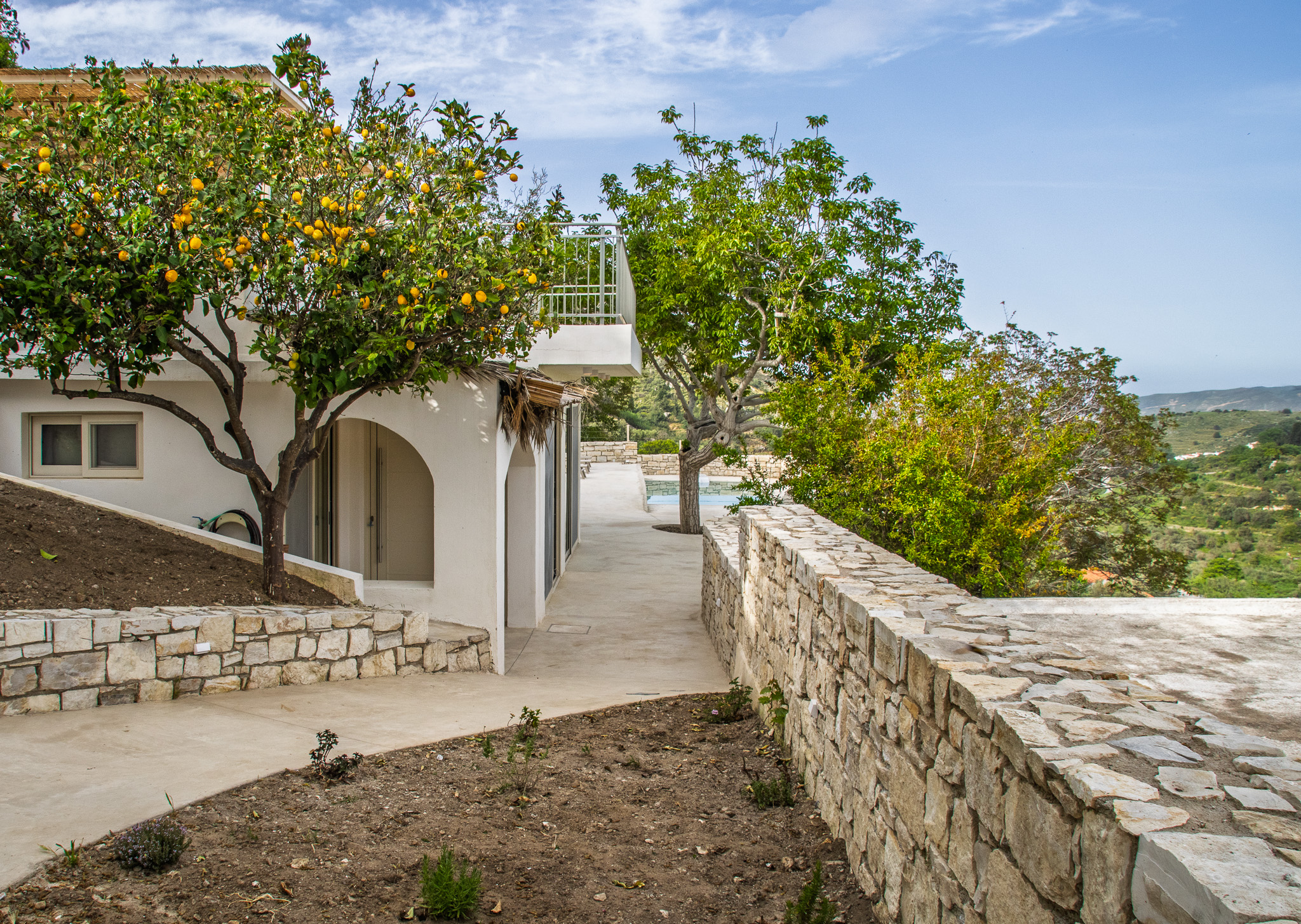 Garden approach with stone path, citrus, and white walls